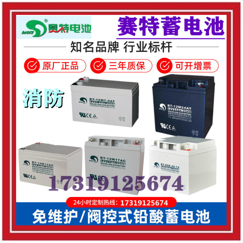 赛特蓄电池BT12M24AT12V24AH消防主机12V5A7A10A12A17A33A38A65A 五金/工具 蓄电池 原图主图