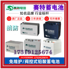 赛特蓄电池BT12M24AT12V24AH消防主机12V5A7A10A12A17A33A38A65A