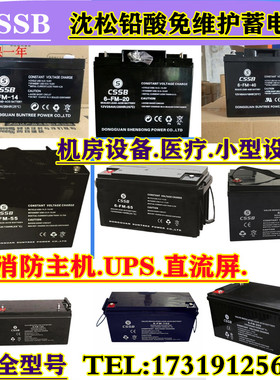 CSSB沈松蓄电池6-FM12V7AH14A17A24A38A65100AH消防UPS主机直流屏
