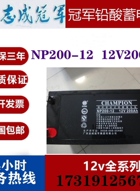 冠军 NP200-12铅酸蓄电池12v00ah 直流屏 ups基站 eps电源系统