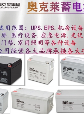 AOKLY奥克莱蓄电池6GFM12V38AH40AH55AH65AH100A120A150A200A250A