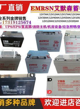 EMRSN艾默森 12V100AH65AH38AH24AH17AH120AH7AH150AH200AH蓄电池