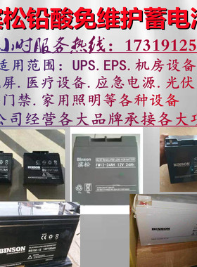 BINSON滨松蓄电池FM/12V17A24A32A38A65A100A监控设备蓄电应急UPS