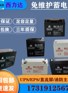 SEALEAD西力达蓄电池SL12V17AH24AH38AH65AH100AH120AH150AH200AH