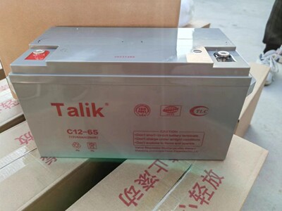 6GFM-RS12V100A65A250AH200A38A24A消防直流屏蓄电池