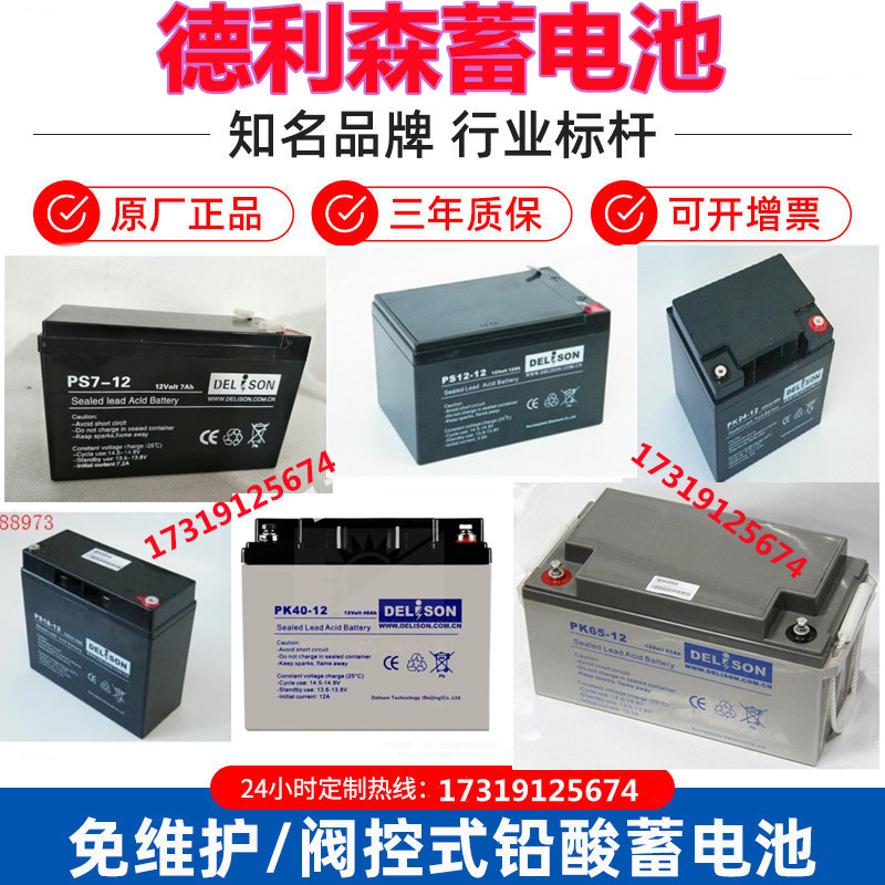 DELISON德利森蓄电池消防通讯UPS