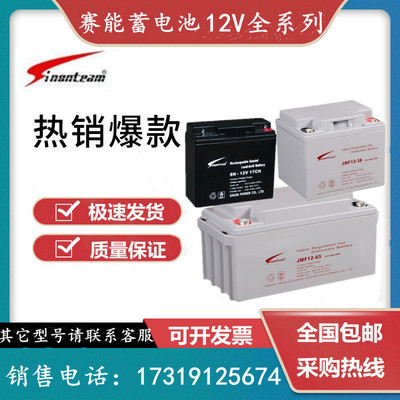 赛能蓄电池12V17AH直流屏UPS机房