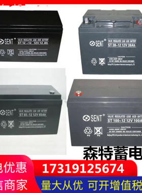 森特SENT蓄电池ST12V7.5AH17AH24AH38AH40AH65AH100AH消防UPS应急