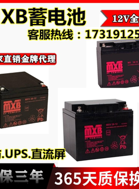 MXB蓄电池MXL24-12AH12V65AH38AH40AH100AH120AH150AH200AH直流屏