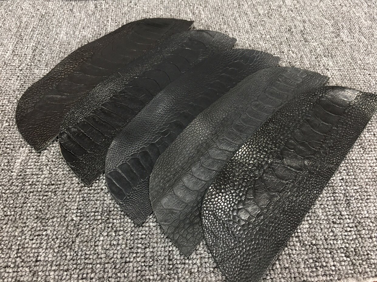 tzp188黑色鸵鸟脚皮特种动物真皮手工diy表带饰品镶嵌皮边料面料