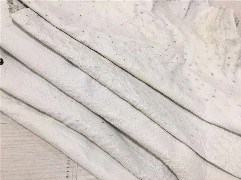 白色边角料鸵鸟皮真皮皮料
