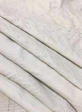 鸵鸟皮白色边角料镶嵌小料真皮表带钱包钥匙包手工DIY皮料tzp137