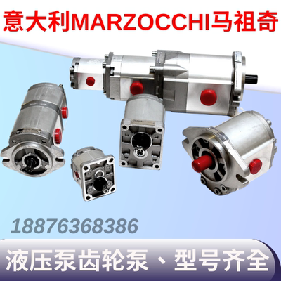 新款新款RZOCCHI马祖奇齿轮泵 PLP10.5 0-2 PLP20.20DO-31S1-LG油