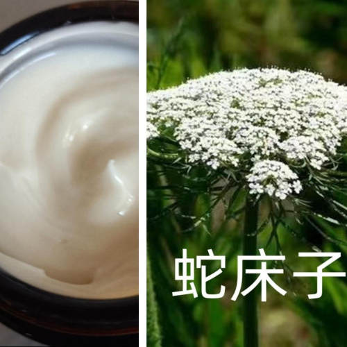 蛇床子油膏清湿无激素儿童可用