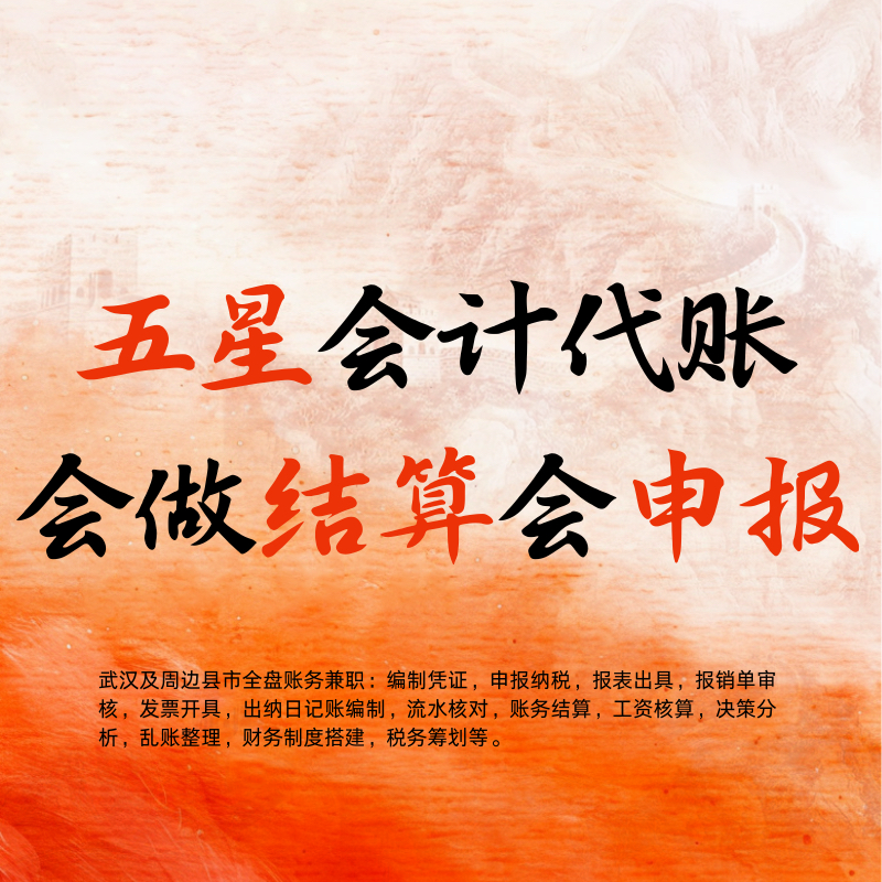 会计账务处理咨询企业做账报税报表核算财务托管武汉上门整理乱账