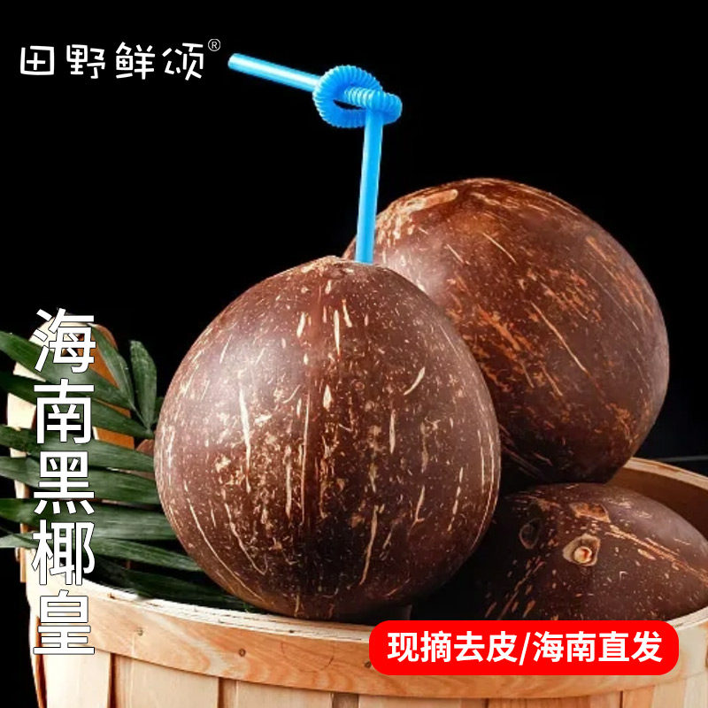 正宗海南牛奶黑椰皇新鲜当季水果毛椰子老椰子整箱孕妇煲汤装椰肉