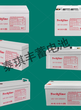 Techfine泰琪丰蓄电池UD12-7AH 12V17A24A38A65A100A消防 UPS电源
