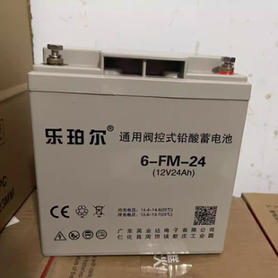 乐珀尔蓄电池6-FM-24X消防 ups不间断电源后备12v24ah免维护电瓶