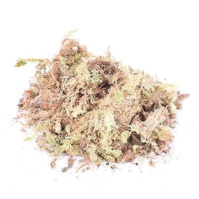 1Pack 12L Sphagnum Dry Moss For Orchid Phalaenopsis Musgo