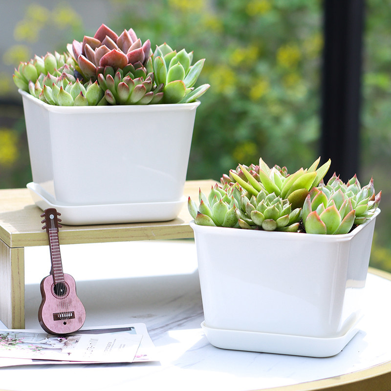 2025新款方形多肉花盆带托盘一体小号中号透气精致白色新型塑料