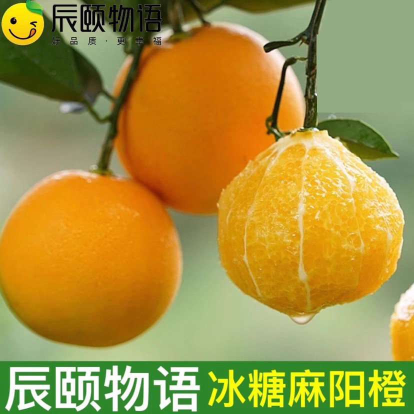 辰颐物语麻阳冰糖橙子7斤装正宗湖南甜橙当季现摘新鲜水果正品