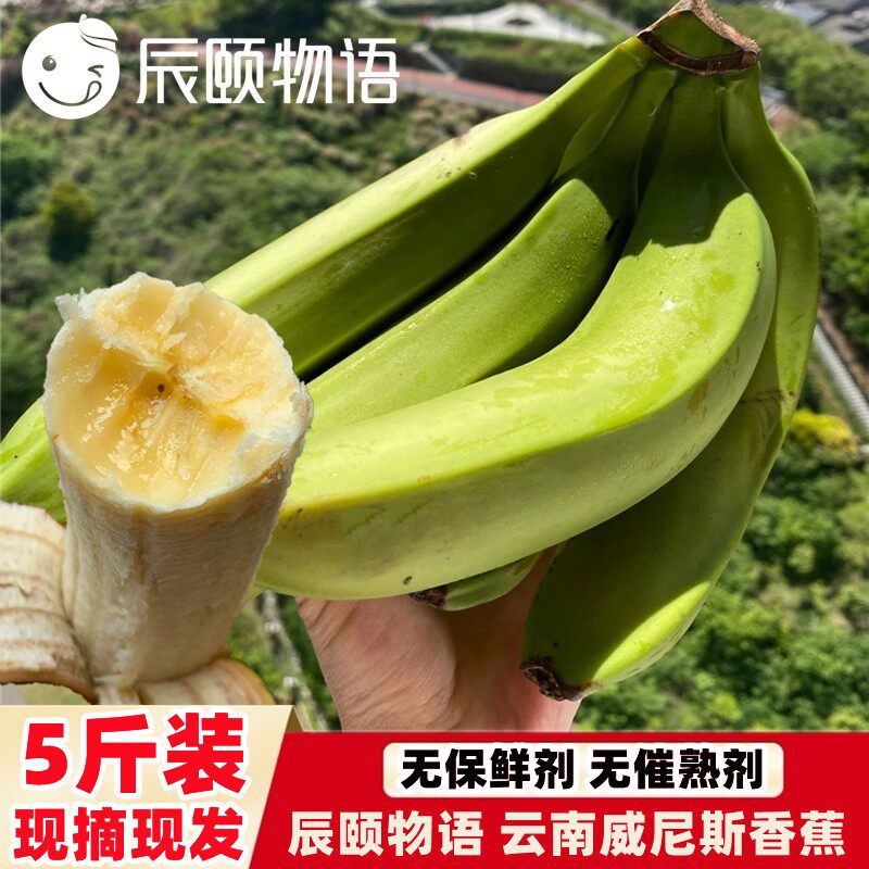 辰颐物语绿皮香蕉自然熟云南威尼斯香蕉5斤新鲜水果不催熟不泡药