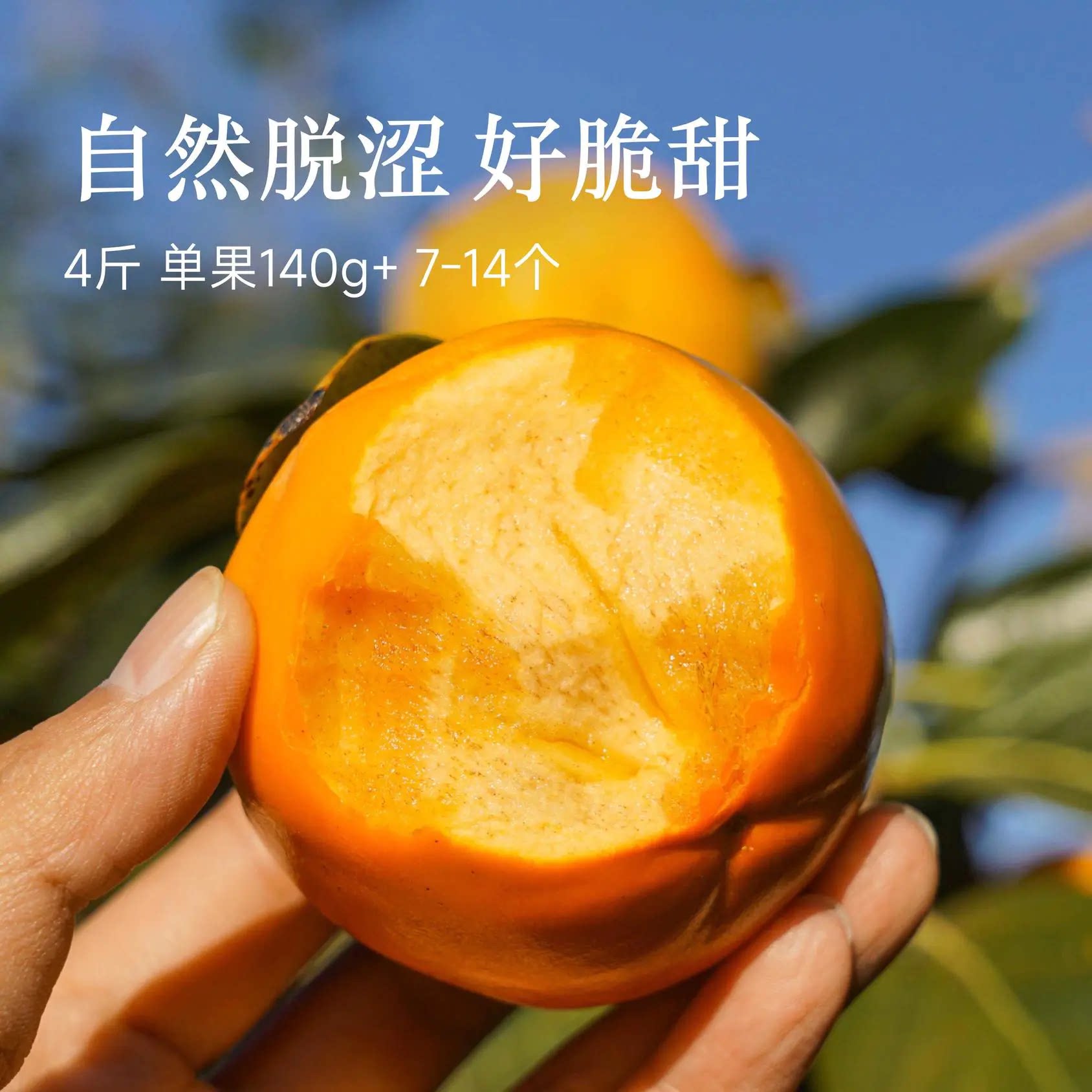辰颐物语阳丰脆柿子火晶脆甜硬太秋脆柿现摘现发2026应季新鲜水果