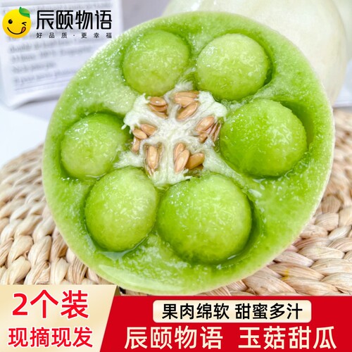 辰颐物语网红玉菇甜瓜香甜蜜瓜现摘现发新鲜应当季水果非哈蜜瓜