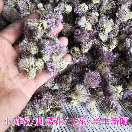 小蓟花刺菜花干货农家自晒阴干中药材包邮泡茶水喝七七芽干花