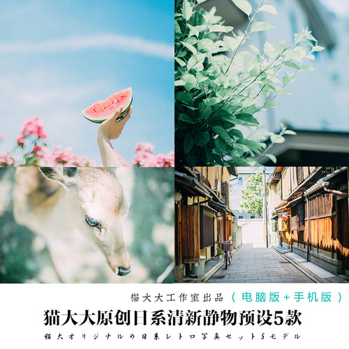 猫大大原创调色后期日系文艺清新静物胶片滤镜PS PR/手机LR预设