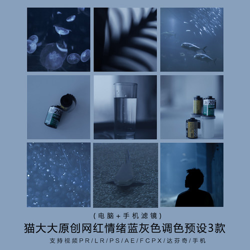 猫大大原创LR预设网红情绪雾霭蓝灰色后期修图PS/PR/LUT手机滤镜