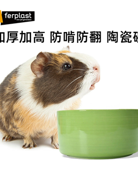 飞宝Ferplast加厚加高防翻陶瓷仓鼠食碗金丝熊龙猫豚鼠碗专用食盆