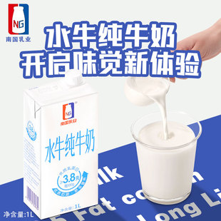 12整箱餐饮商用 咖啡奶茶店专用1L 乳鹰南国水牛奶 3.8g乳蛋白