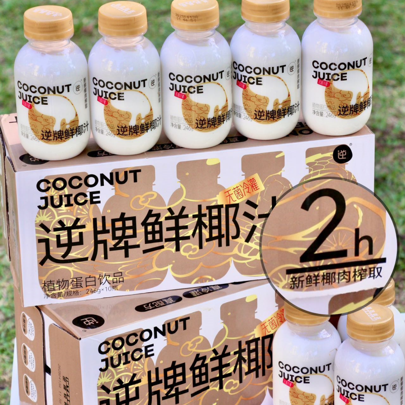 逆牌鲜椰汁246g*10瓶整箱