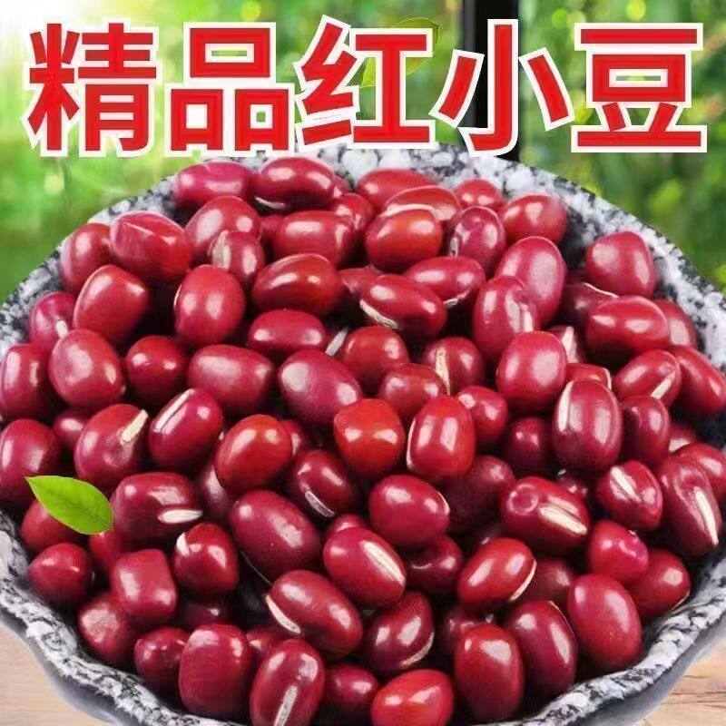 山东农家红豆圆粒红小豆老品种打豆浆做豆沙馅的红豆批发小豆粒