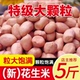花生米剥壳花生无壳新货花生新鲜大粒榨油粉红白沙花生仁生花生米