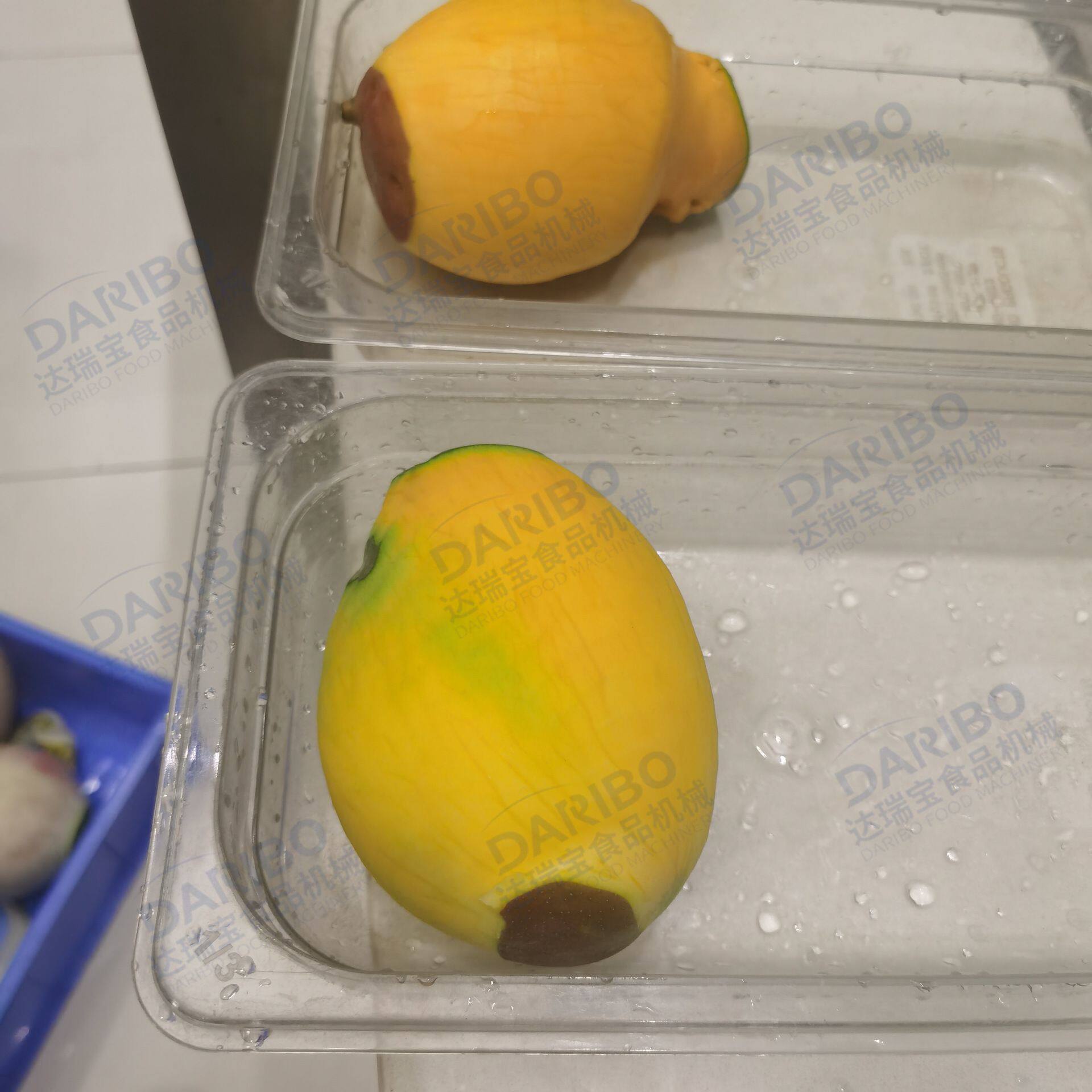 730型芒果电动削皮机半自动大青芒去皮器 304不锈钢水仙芒削皮机W