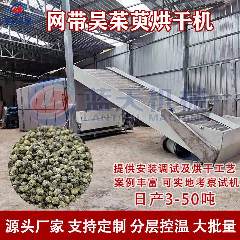 网带吴茱萸烘干机 带枝吴茱萸干燥筛选流水线 大型臭辣子哄干设备