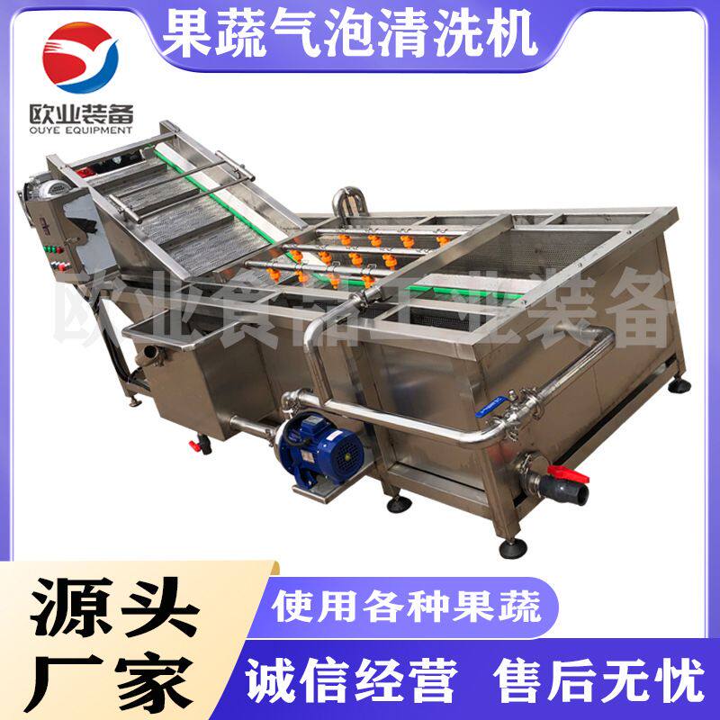 百香果气泡清洗机 茶叶清洗流水线 荔枝清洗机器 水蜜桃清洗设备