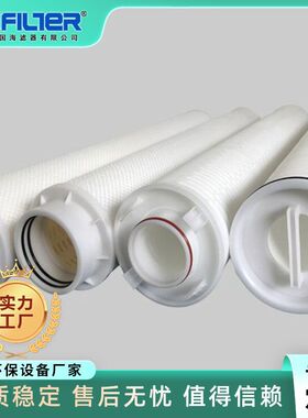 国海保安过滤器滤芯 电厂冷凝水过滤40寸外骨架大通量水滤芯5微米