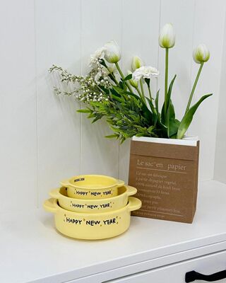 韩国BRIDGE.DOG宠物猫狗网红盘 新年款pot白色大双耳碗原装进口