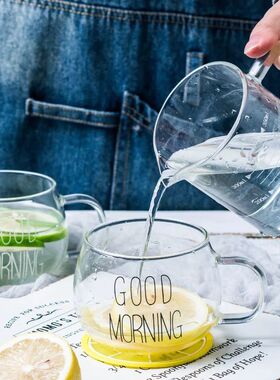 耐热早餐杯玻璃带把杯子  ins北欧goodmorning杯麦片杯家用牛奶杯