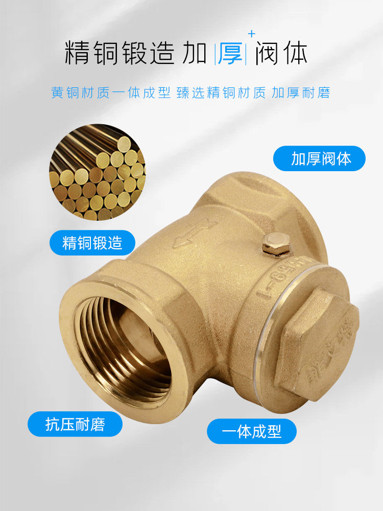 正品埃美柯铜止回阀水单向阀加厚管道单向卧式自来水逆止横式f429