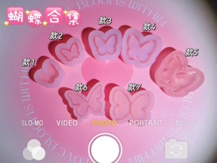 ichigo国内版权授权  QUEENT滴胶手作 流沙模具 蝴蝶系列 0251