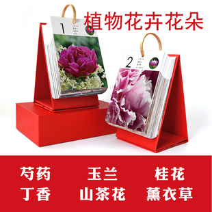 芍药丁香玉兰山茶花桂花薰衣草日历花朵花卉植物鲜花台历挂历周历