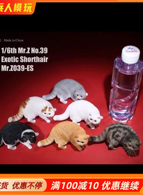 原创仿真动物MR.Z树脂现货欧式