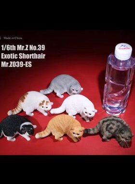 原创仿真动物MR.Z树脂现货欧式