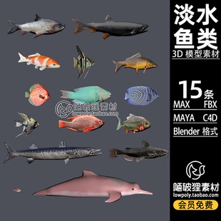 15款 PBR淡水鱼类鱼群模型Blender鱼儿单体FBX C4D MAX MA 3D素材
