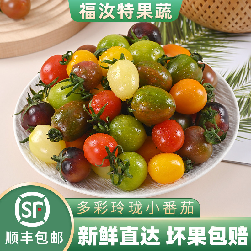 山东寿光七彩小番茄圣女果新鲜现摘小柿子青口蜜千禧果彩色小番茄