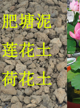 河塘淤泥塘泥睡莲荷花专用土荷塘泥水生花卉泥种植土花土菜土通用